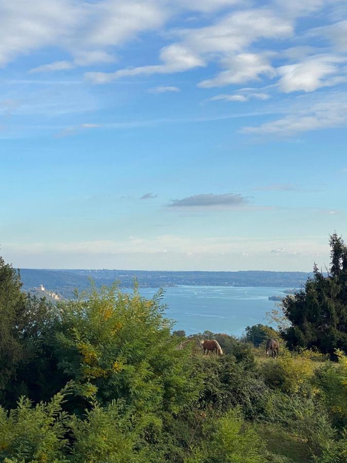 La Garconnierre Del Lago Maggiore Nebbiuno Dış mekan fotoğraf